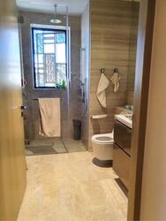 Klimt Cairnhill (D9), Apartment #501092621